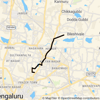 295C route map