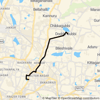 295D route map